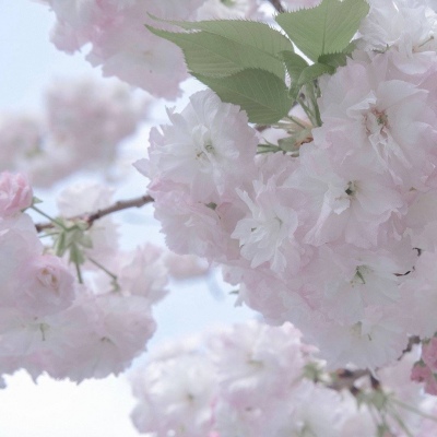 Furry赛博风格设计技巧Furry群